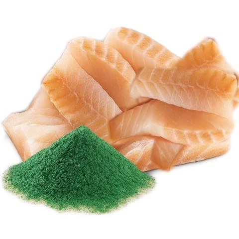 SHELMA saszetka z dorszem i spiruliną dla kota 85g