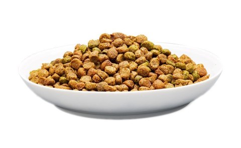 PREVITAL kurczak karma sucha karma kocięta 0,95kg