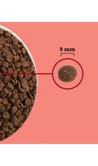 ACANA Highest Protein Indoor Cat 1,8kg