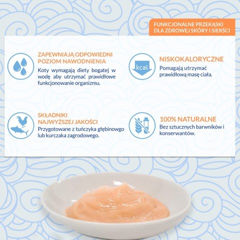 INABA Churu Skin&Coat Kurczak - przysmak dla kota - 4x14 g