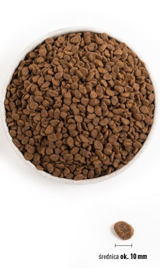 ORIJEN Cat 6 Ryb 1,8kg