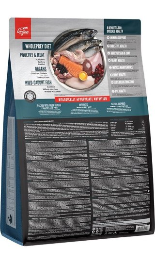 ORIJEN Guardian 8 - sucha karma dla kota - 1,8 kg