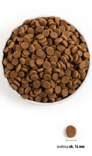 ACANA Senior Dog 11,4kg