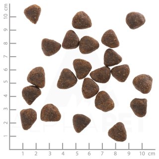 WOLFSBLUT Wide Plain Adult horse/sweet potatos 2kg