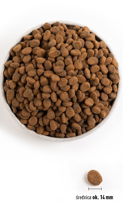 ORIJEN Regional Red Dog 6kg