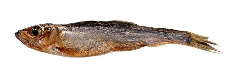 PETITTO Szprotki suszone przysmak dla psa 250g