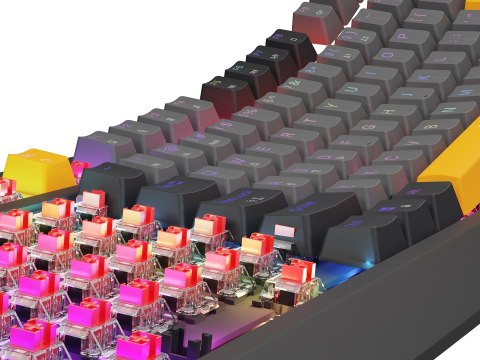 KLAWIATURA DLA GRACZY GENESIS THOR 230 TKL ANCHOR GRAY NEGATIVE US RGB MECHANICZNA OUTEMU RED (WYPRZEDAŻ)