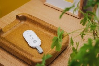 Yale Pilot do inteligentnego alarmu, Przycisk paniczny