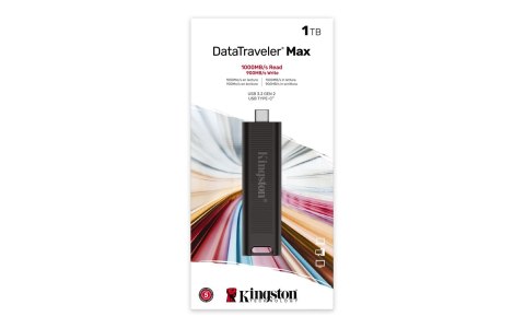 KINGSTON FLASH 1TB Max 1000R/900W USB 3.2 DataTrave