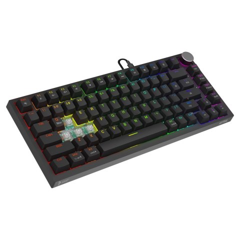 SAVIO KLAWIATURA MAGNETYCZNA ASTRAL BLACK OUTEMU WHITE JADE RGB