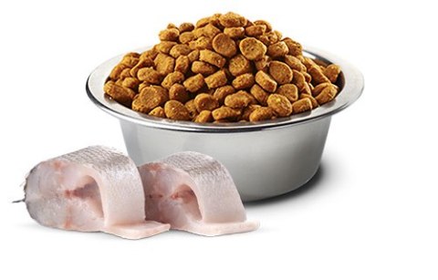 FARMINA N&D WHITE DOG SEA BASS, Spirulina and Fennel Adult Mini - sucha karma dla psów ras białych - 2 kg (WYPRZEDAŻ)