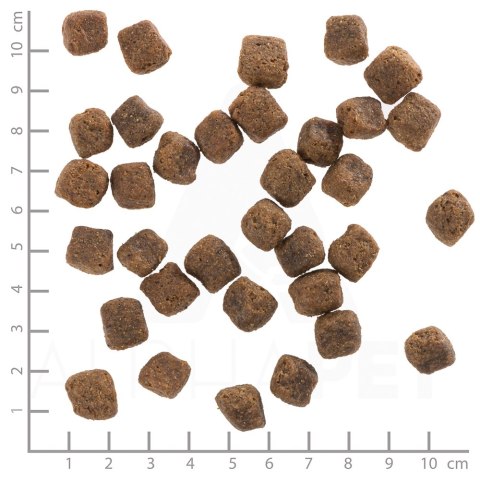 WOLFSBLUT Black Bird Adult turkey/sweet potat.12,5kg (WYPRZEDAŻ)