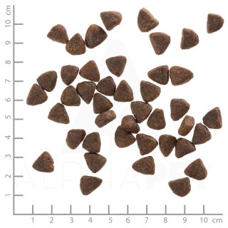 WOLFSBLUT Wild Duck Adult duck with potatos 12,5kg (WYPRZEDAŻ)