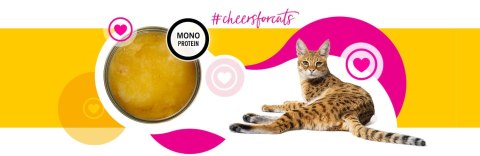 3Coty CHICKEN Cheers! Complementary feed for cats 75g