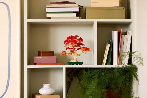 LEGO BOTANICALS 10348 Klon Palmowy Bonsai