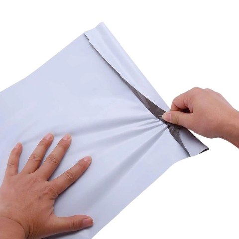 BSTech Foliopak koperta foliowa mocna FB05/C3 350X460 karton 1200 sztuk