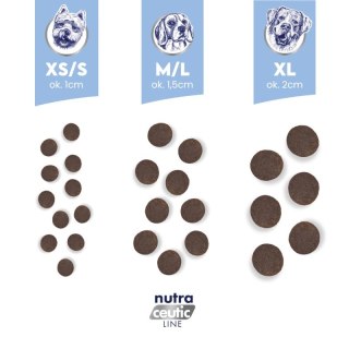 BALTICA NUTRACEUTIC Hypoallergenic Fish & Rice Light L / XL 12kg