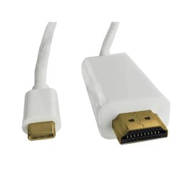 Kabel adapter Qoltec USB 3.1 TypC M / HDMI A M 4Kx2K 2m
