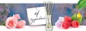 Air Wick Pachnące Patyczki Tajemnicze Ogrody z Dzieciństwa/Mystical Gardens 30 ml