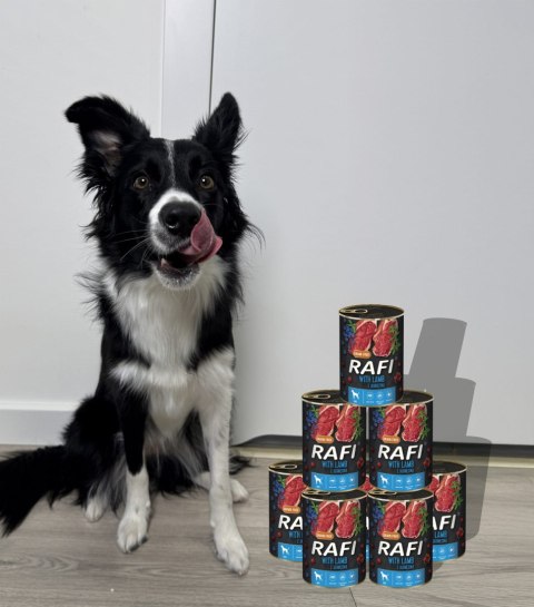 Karma Mokra Dla Psów RAFI z Jagnięciną, Borówką i Żurawiną 400g - 12 szt.