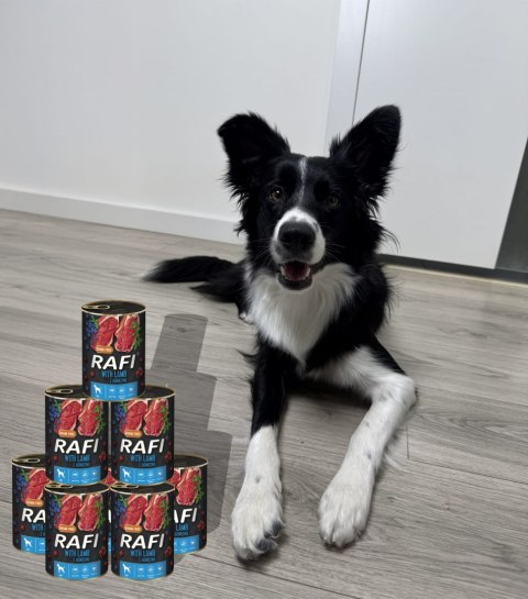 Karma Mokra Dla Psów RAFI z Jagnięciną, Borówką i Żurawiną 400g - 24 szt.