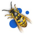 BROS - pułapka z płynem na osy i muchy