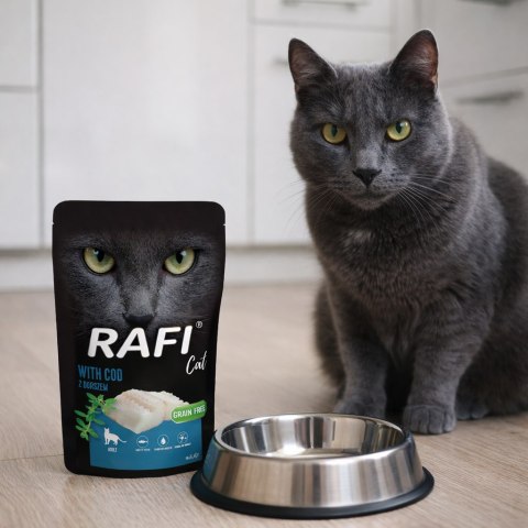 Zestaw RAFI Karma Mokra Pasztet Dla Kotów MIX Smaków 100g x 50 szt.