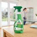 Frosch Płyn Do Mycia Szyb Bio Spirit Skuteczne Czyszczenie Bez Smug 500ml