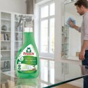 Frosch Płyn Do Mycia Szyb Bio Spirit Skuteczne Czyszczenie Bez Smug 500ml