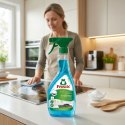 Frosch Środek Czyszczący Do Kuchni Sodowy Na Tłuszcz I Brud 500ml