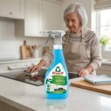 Frosch Środek Czyszczący Do Kuchni Sodowy Na Tłuszcz I Brud 500ml