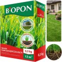 BOPON - Trawa Samozagęszczająca 12 m² - 0,3 kg