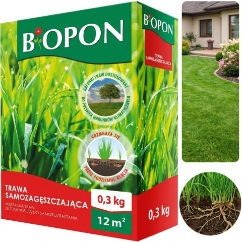BOPON - Trawa Samozagęszczająca 12 m² - 0,3 kg