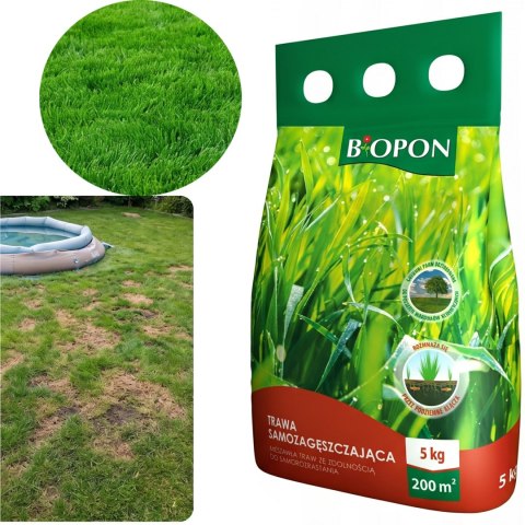 BOPON - Trawa Samozagęszczająca 200 m² - 5 kg