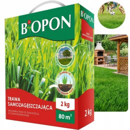 BOPON - Trawa Samozagęszczająca 80 m² - 2 kg