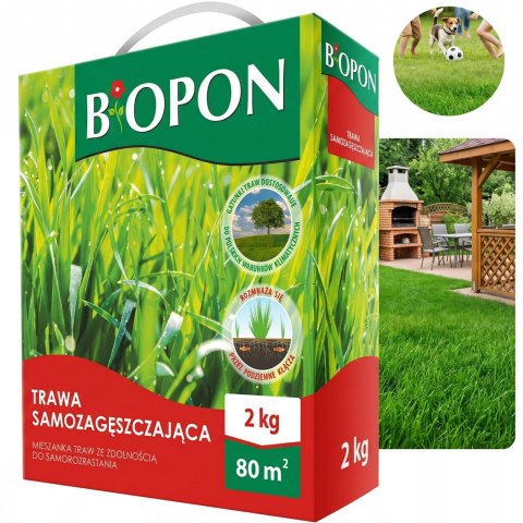 BOPON - Trawa Samozagęszczająca 80 m² - 2 kg