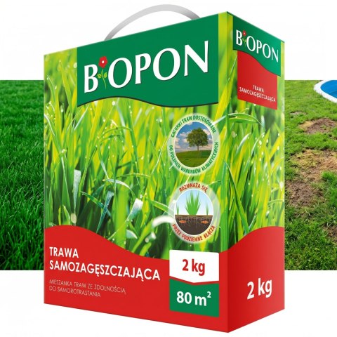 BOPON - Trawa Samozagęszczająca 80 m² - 2 kg