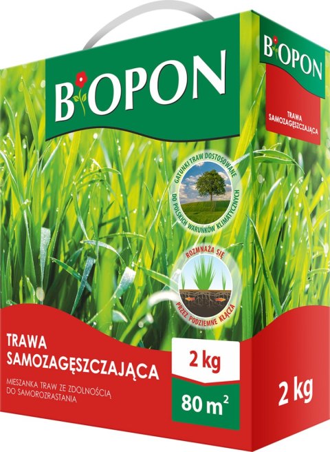 BOPON - Trawa Samozagęszczająca 80 m² - 2 kg