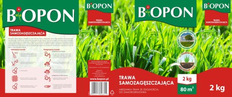 BOPON - Trawa Samozagęszczająca 80 m² - 2 kg