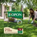 BOPON - Trawa W Cieniu Do Miejsc Słabo Nasłonecznionych 40 m² - 1 kg
