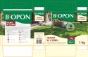 BOPON - Trawa W Cieniu Do Miejsc Słabo Nasłonecznionych 40 m² - 1 kg