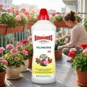 EKODARPOL BIOHUMUS EXTRA Pelargonia 0,7L