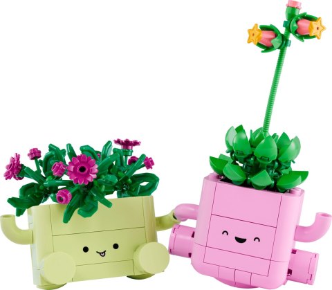 11506 - LEGO The Botanical Collection - Bujające się roślinki