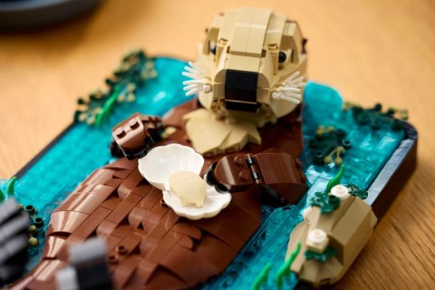 21366 - LEGO Ideas - Pływające wydry