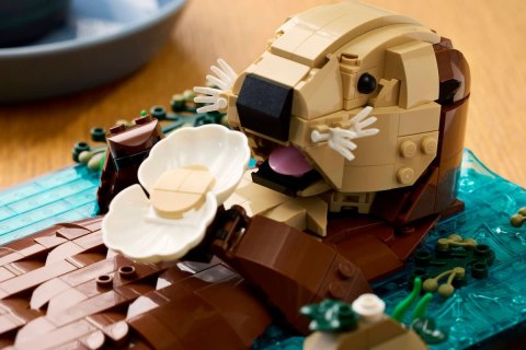 21366 - LEGO Ideas - Pływające wydry