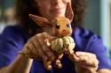 72151 - LEGO Pokémon - Eevee