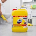 Domestos Płyn Do WC Citrus Fresh Żółty 5L