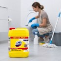 Domestos Płyn Do WC Citrus Fresh Żółty 5L