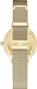 ZEGAREK DAMSKI EMPORIO ARMANI AR1957 - GIANNI