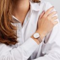ZEGAREK DAMSKI DANIEL WELLINGTON DW00100163 - PETITE MELROSE 32mm (zw500b)